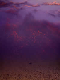reflection_vii_adagio.jpg