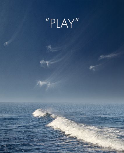 Quotes about Play the game (565 quotes)