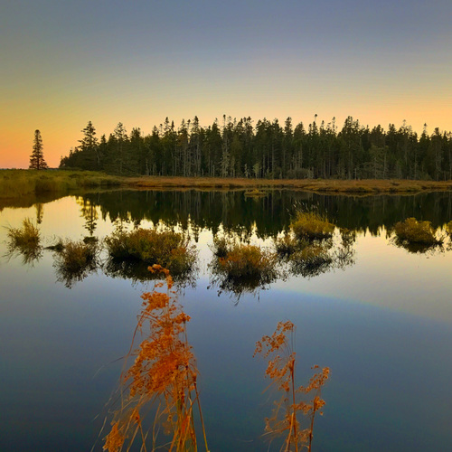 2e3984148a74b4e2b7788ce859049d5f_f2500