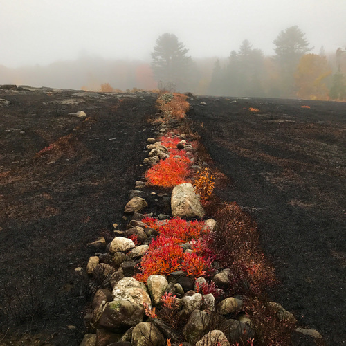 65f1e2a77ca005a4c74f1c10b33d371d_f2508