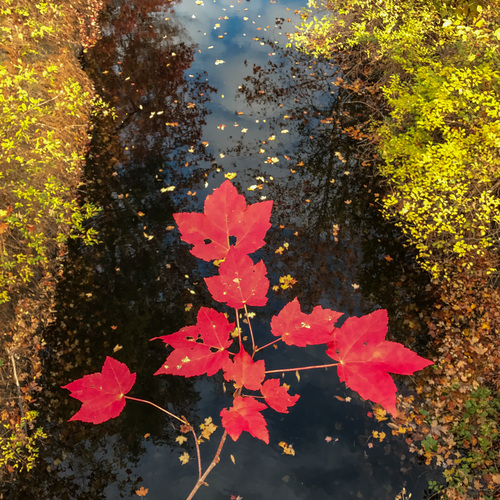 73333c807b7cae1af39372efe35f149e_f2503