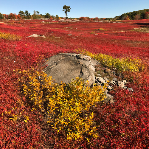 b4329d93b91585d55bba7115ebc70c63_f2509