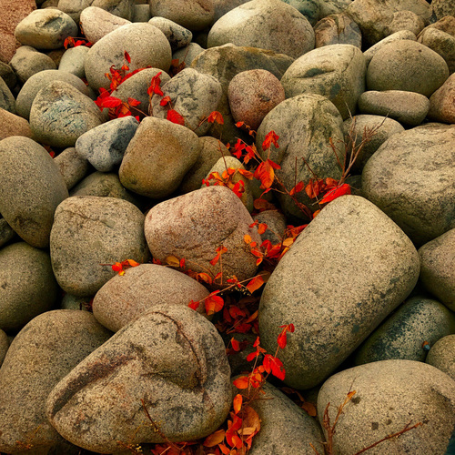 bfb77292ba52d319f7aef492430a5866_f2507