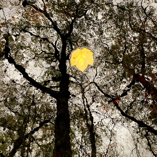 c75d0db978c21c5525678078d519734c_f2501