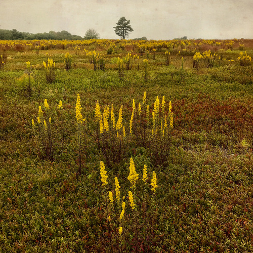 c839c6af57d79e3a43138f20e1efe473_f2506