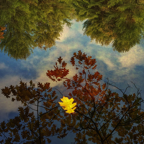 e32c8a242cb951327974ed847e06225c_f2502