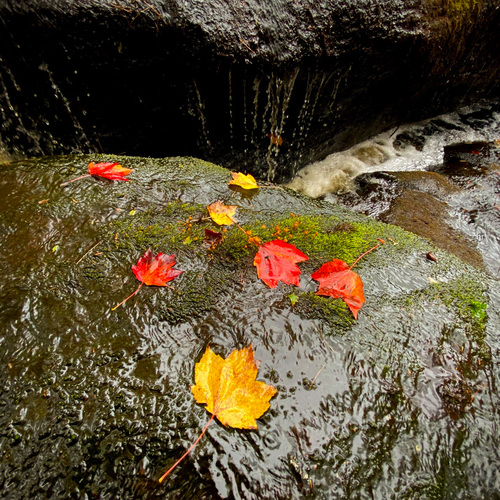 ece10c7fc0613dd5725edeb861829b70_f2504