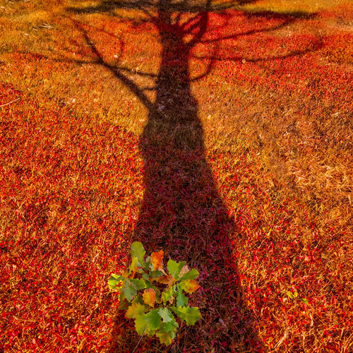 ee5da1b20eded837087d8e72e0552e7d_f2510