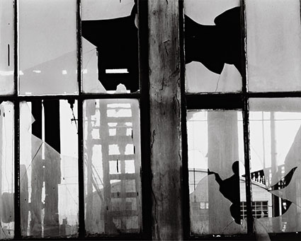 The Portfolios of Brett Weston, 15 photographs, Plate 9