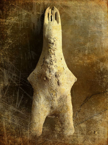 1_bones_IMG_6636