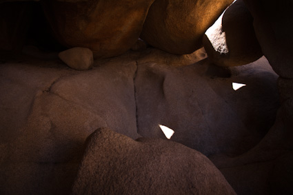 20090328_CAjoshuatree0021