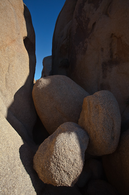 20090328_CAjoshuatree0113