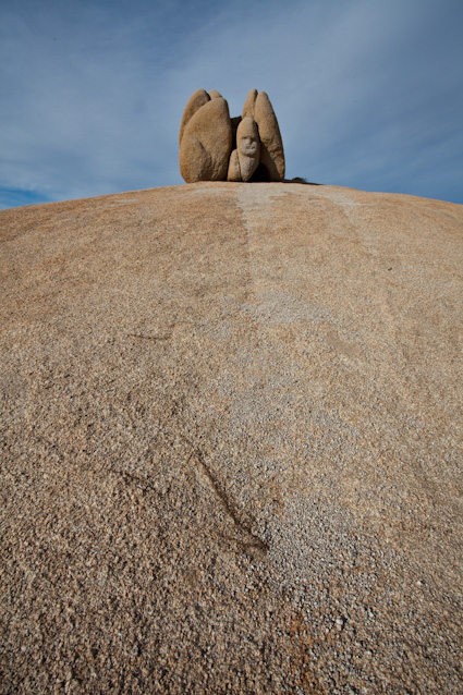 20090329_CAjoshuatree0537