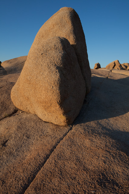 20090331_CAjoshuatree0011