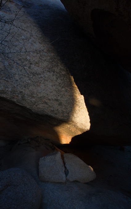 20090331_CAjoshuatree0353