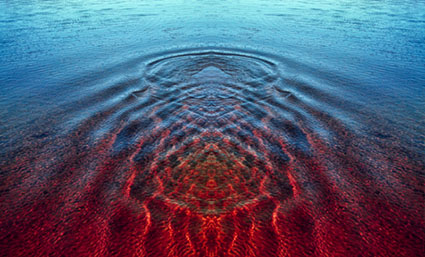 2_wake4