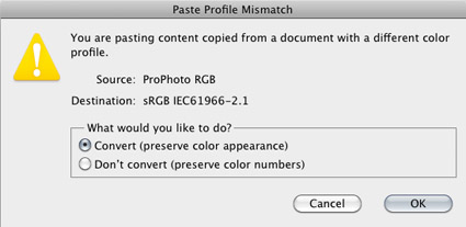 CS5_pastemismatch