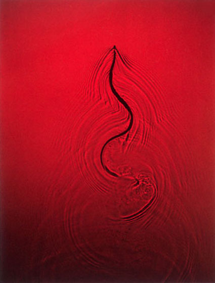 Fuss_Snake_Red