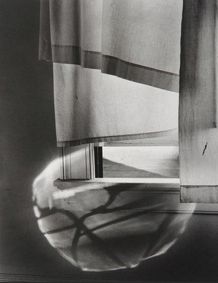 Windowsill Daydreaming, Rochester, New York, 1958