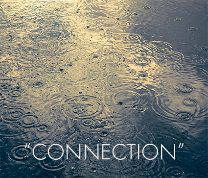 Quotes_Connection
