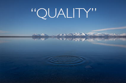 26 Great Quotes On Quality - John Paul Caponigro