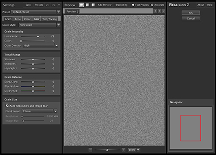 RealGrain_425