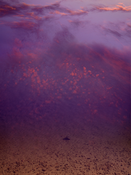 Reflection VII