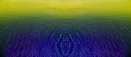 Wake XII