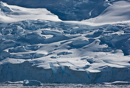 antarctica_gullet