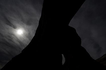 dark_425