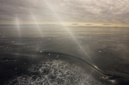 refraction_LX_425