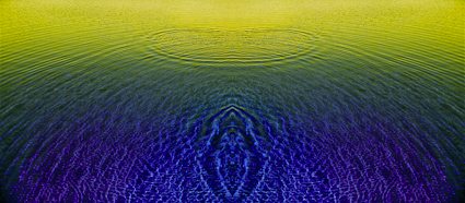 wakeX