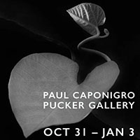 exhibitpaulcaponigro