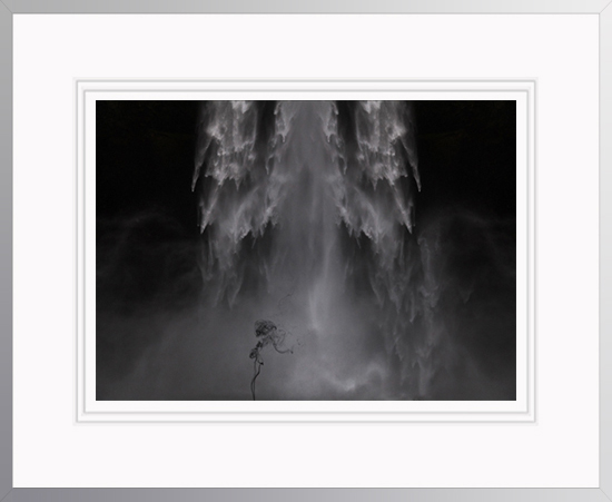Black and White Mastery