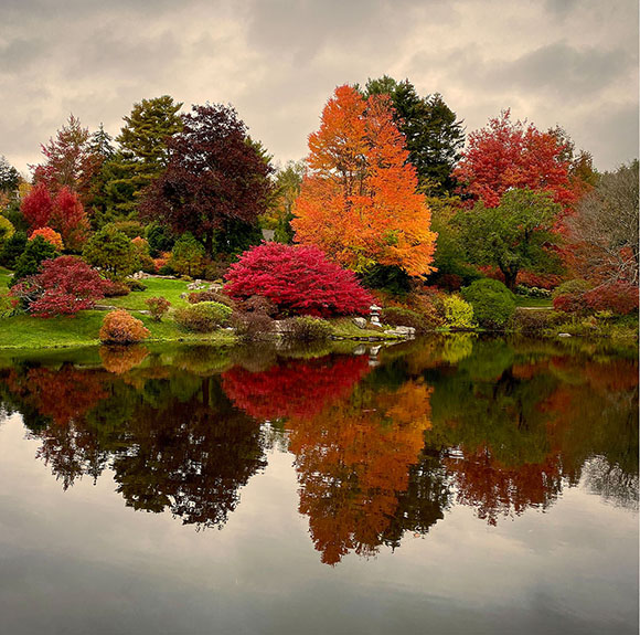 Maine_Acadia_Fall.jpg