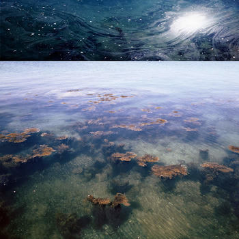 SmallGreenIsland_1996_5.jpg